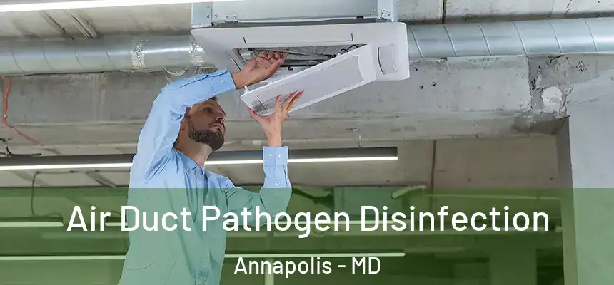 Air Duct Pathogen Disinfection Annapolis - MD