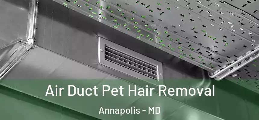 Air Duct Pet Hair Removal Annapolis - MD
