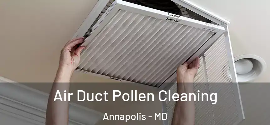 Air Duct Pollen Cleaning Annapolis - MD