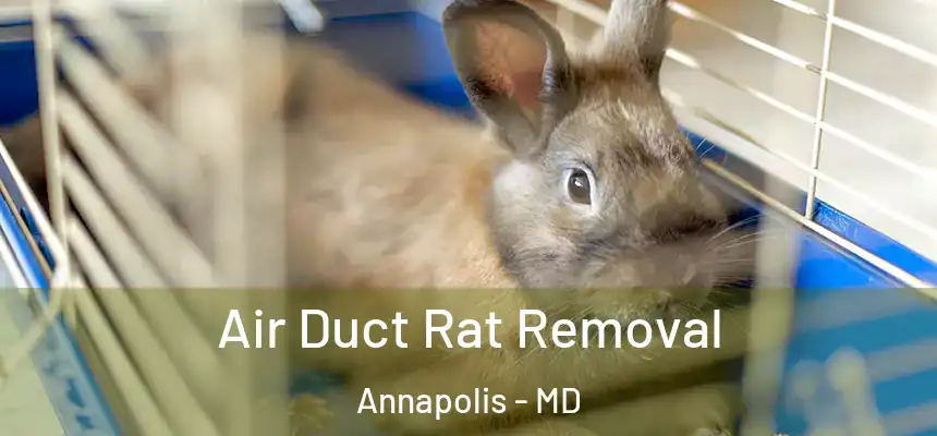 Air Duct Rat Removal Annapolis - MD