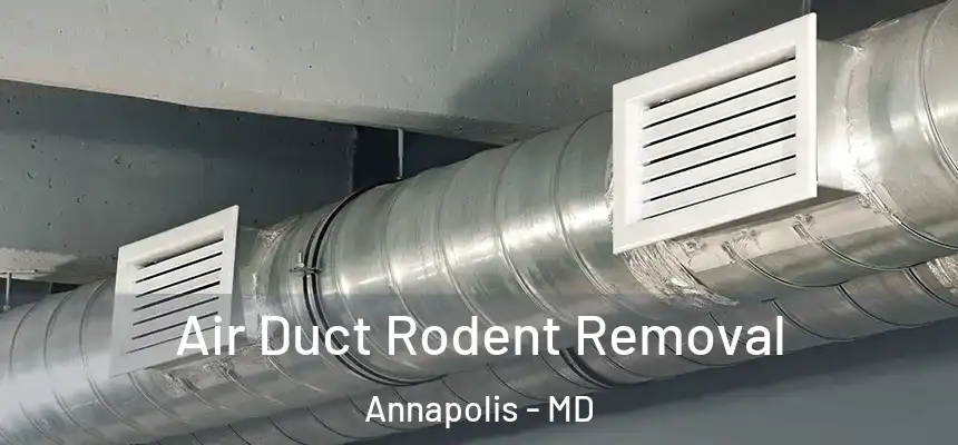  Air Duct Rodent Removal Annapolis - MD