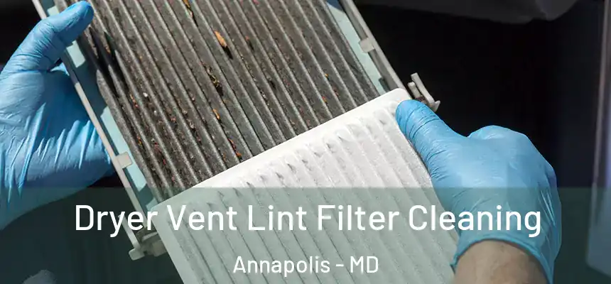 Dryer Vent Lint Filter Cleaning Annapolis - MD
