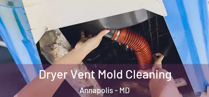 Dryer Vent Mold Cleaning Annapolis - MD