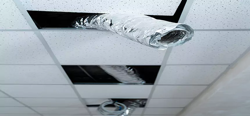 Our Air Duct Pet Hair Removal Services in Annapolis, MD