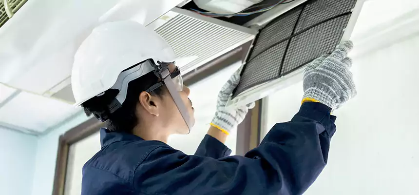 Our Mold & Mildew Removal from Air Ducts Services in Annapolis, MD