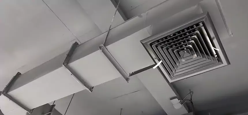 Our Pest Removal From Ducts Services in Annapolis, MD