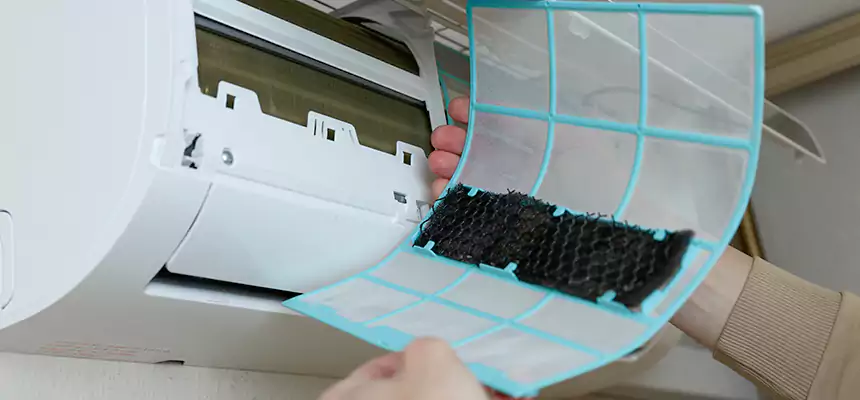 Gentle Ductwork Odor-Control Pet Dander Duct Cleaning in Annapolis, MD