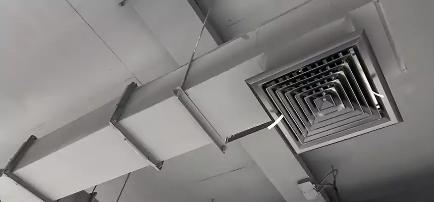 Our Rodent Droppings In Vents Services in Annapolis, MD