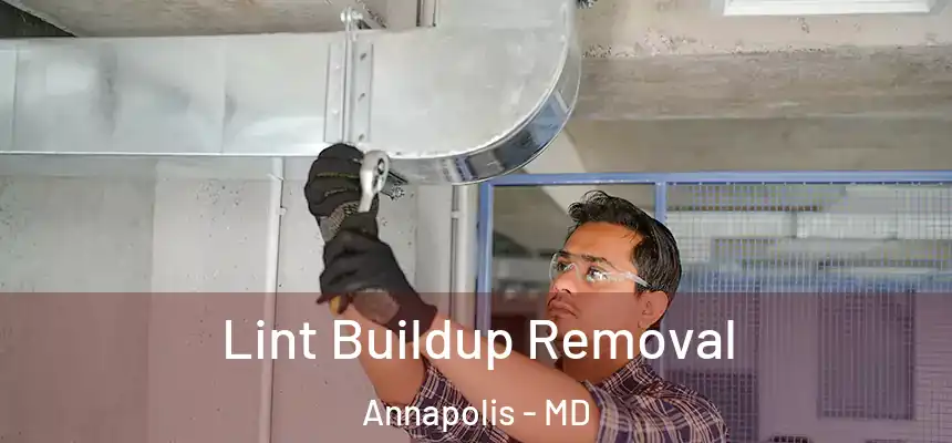 Lint Buildup Removal Annapolis - MD