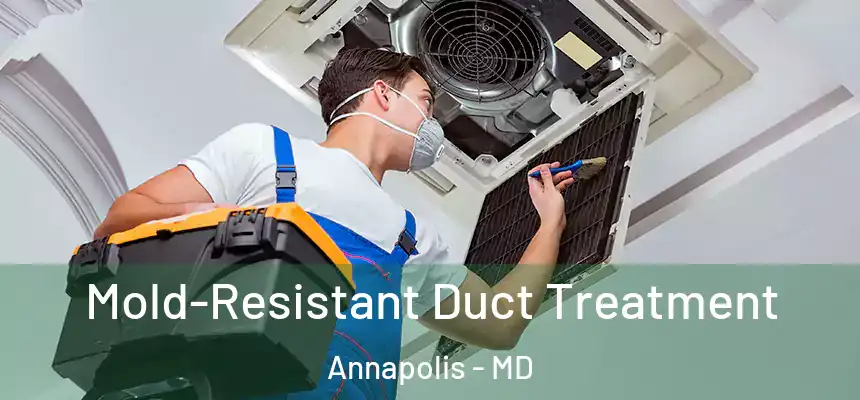Mold-Resistant Duct Treatment Annapolis - MD