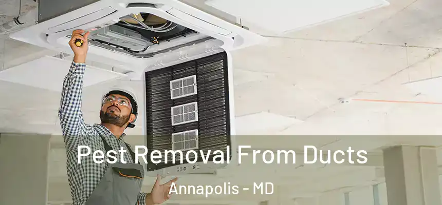 Pest Removal From Ducts Annapolis - MD