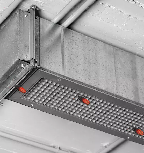 About Air Duct Cockroach Removal in Annapolis, MD