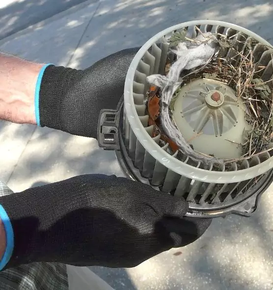 About Air Duct Mice Removal in Annapolis, MD