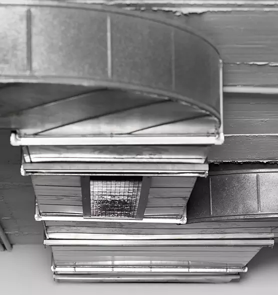 Professional Air Duct Pest Removal in Annapolis, MD