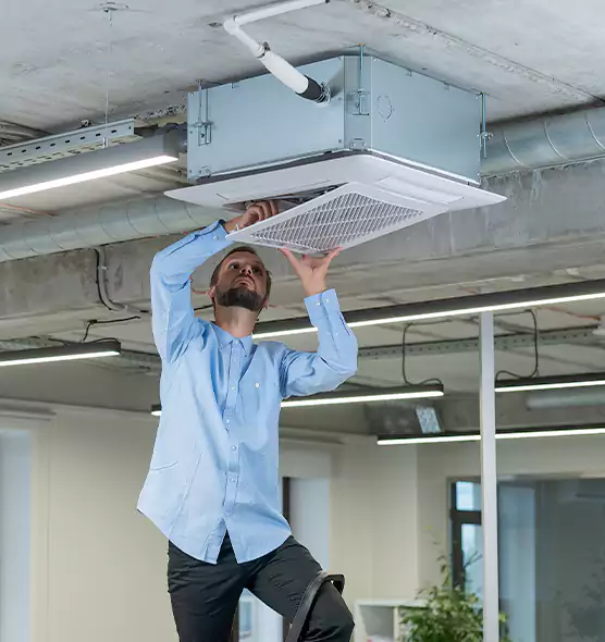 Advanced Rodent Droppings In Vents in Annapolis, MD
