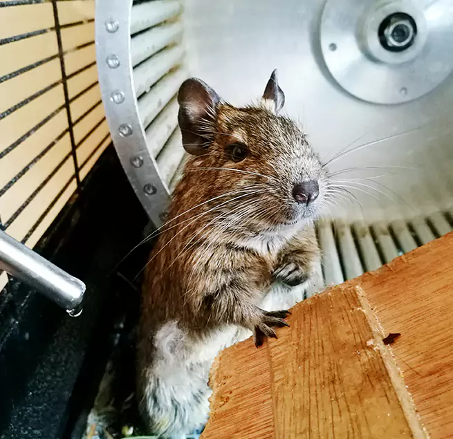 Why Homeowners & Businesses Trust Us Annapolis, MD?