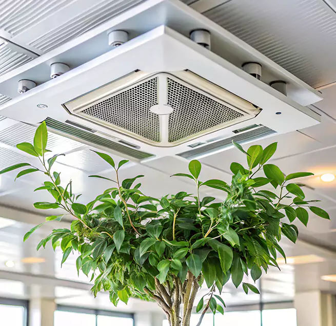 Why Homeowners & Businesses Trust Us in Annapolis, MD