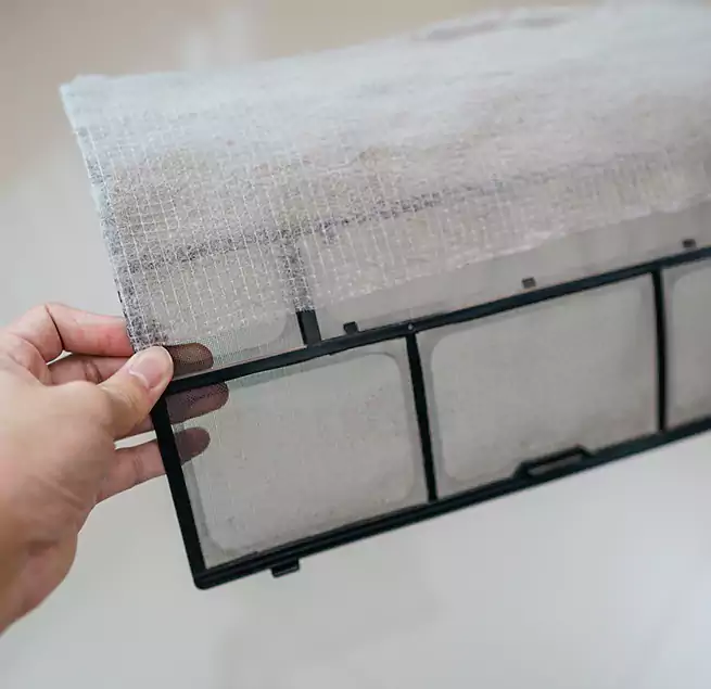 Why Homeowners & Businesses Trust Us in Annapolis, MD?