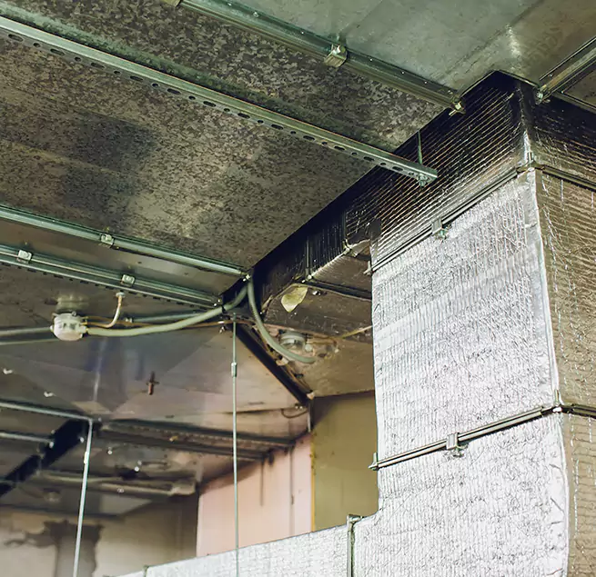 Why Homeowners & Businesses Trust Us in Annapolis, MD?