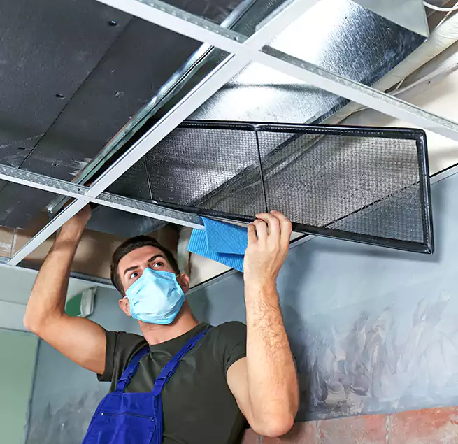 Why Homeowners Businesses Trust Us in Annapolis, MD